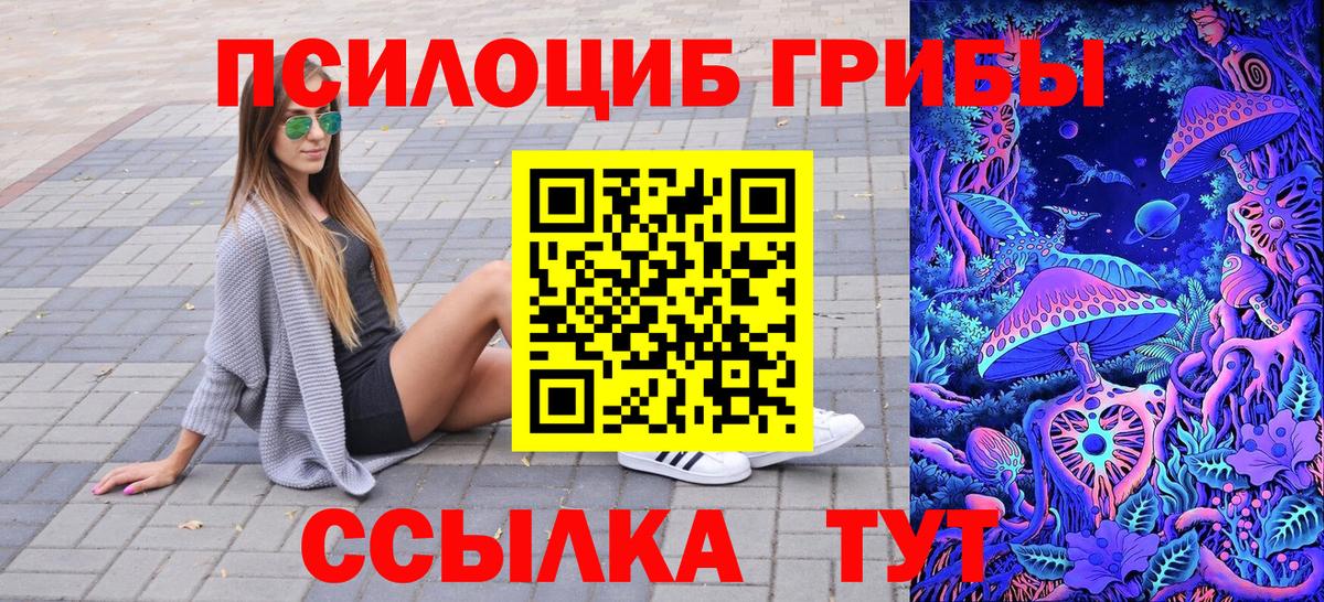 Кемерово  Галлюциногенные грибы Psilocybine cubensis  Вход с VPN 