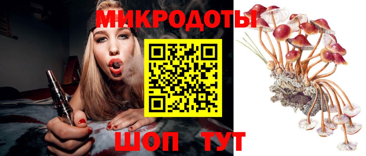 Галлюциногенные грибы Cubensis Кемерово