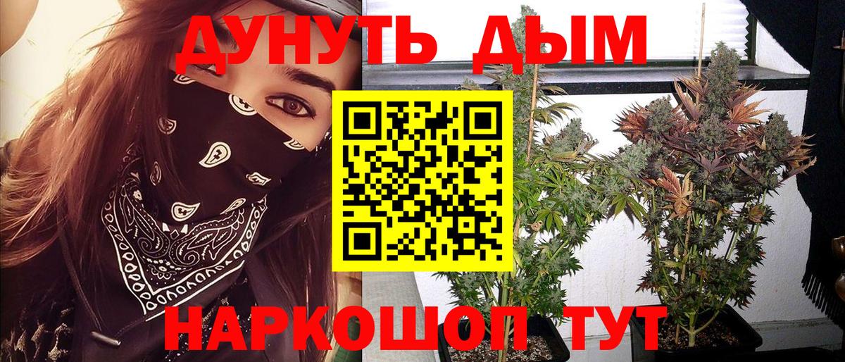 Каннабис OG Kush  Шишки марихуана THC 21%  Конопля VHQ  Марихуана гибрид  Вход с VPN  Кемерово 